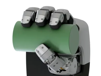 Torobo Hand 5