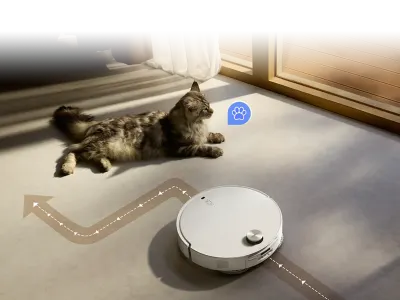 Qrevo Curv 1