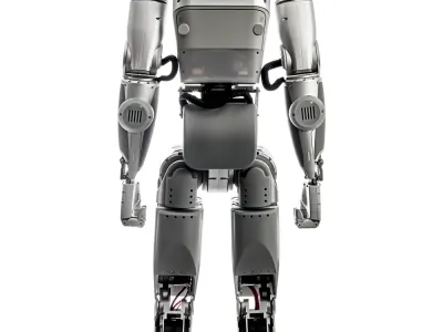 IGRIS-C 2