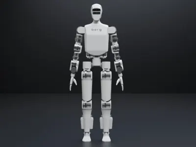 Borg 01 8