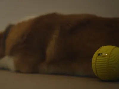 Samsung Ballie 8