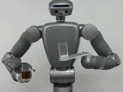 Torobo 8