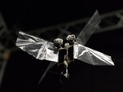 DelFly Nimble 2