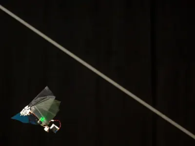 DelFly Nimble 7