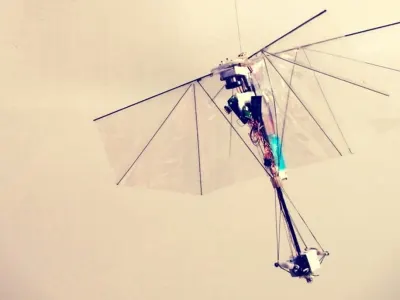 DelFly Nimble 8