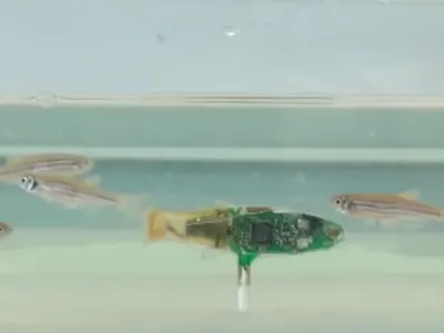 Cuddle‑Fish Robot 3