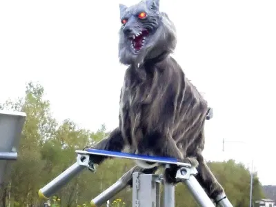 Robot Wolf 5