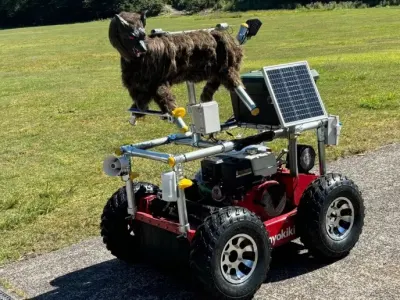 Robot Wolf 8