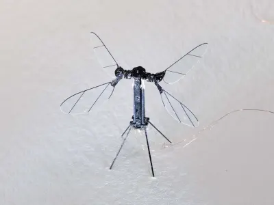 RoboBee 1