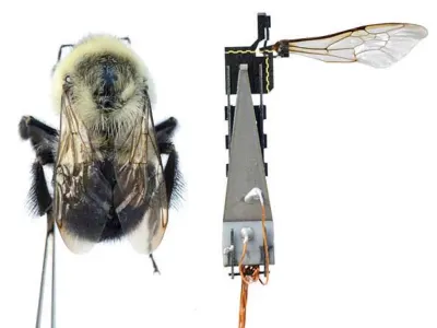 RoboBee 2