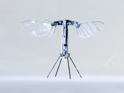 RoboBee 4