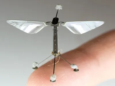 RoboBee 6