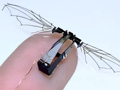 RoboBee 8