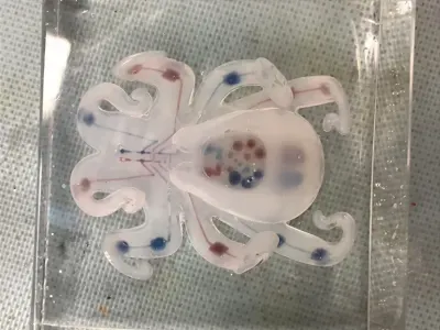 Octobot 4