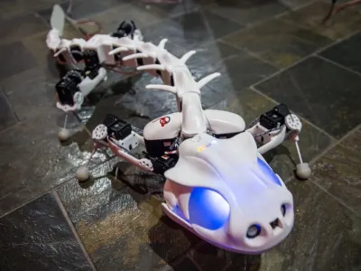 Pleurobot 2