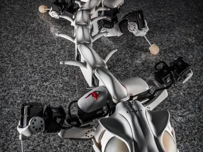 Pleurobot 5