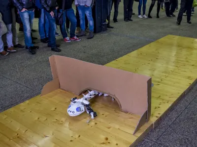 Pleurobot 6