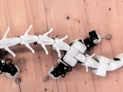 Pleurobot 8
