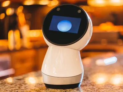 Jibo 4