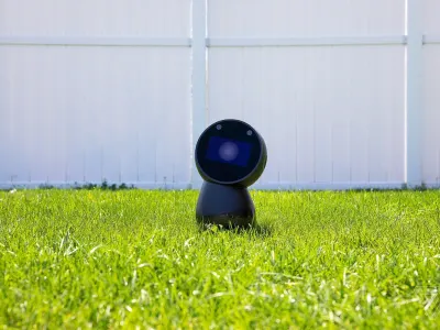 Jibo 5