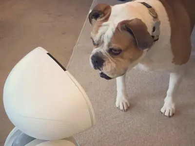 Buddy 2