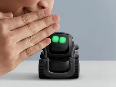 Vector 8