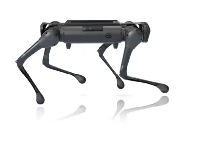 Aliengo 5