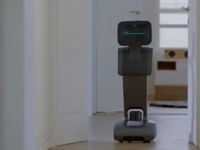 Temi 8