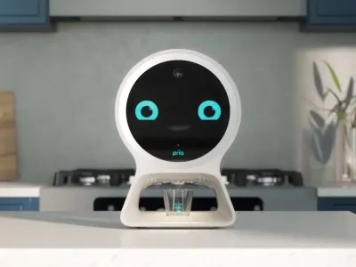 Pillo 5