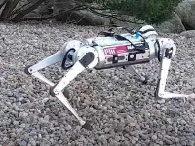 Mini Cheetah 8