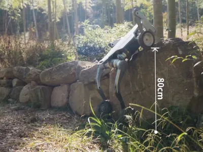 Lynx 2