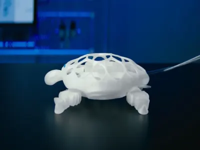 BionicTurtleWalker 3