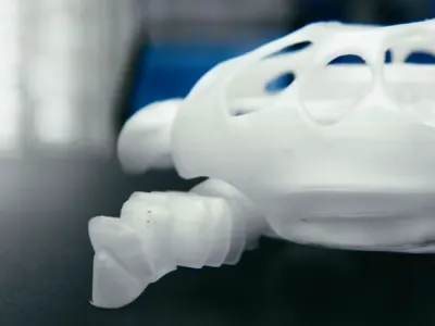 BionicTurtleWalker 4