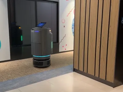 Temi Go Pro 6