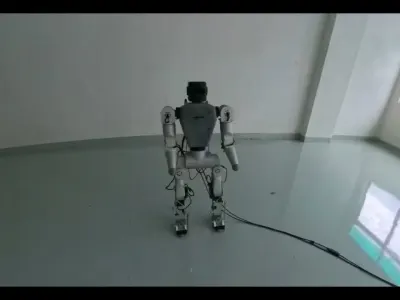 Domo 6
