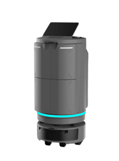 Temi Go Pro