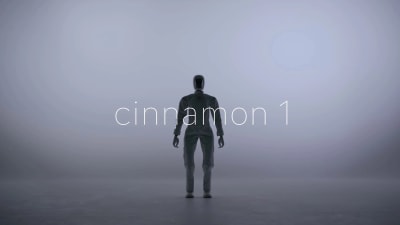 Cinnamon 1