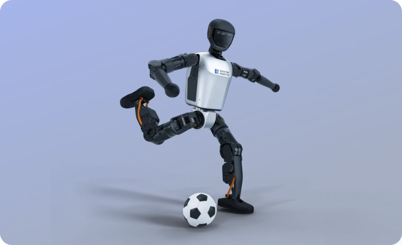 T1 Humanoid