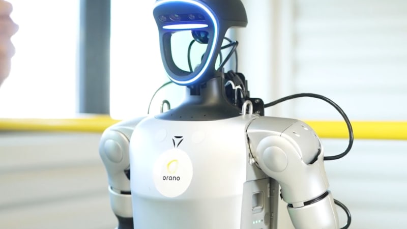 Hoxo Robot
