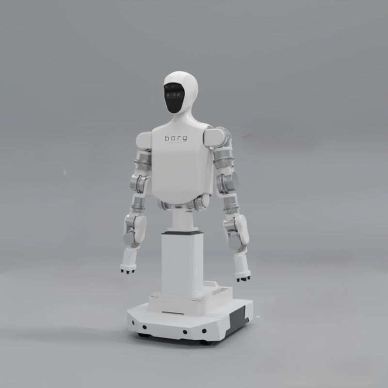 Borg 01