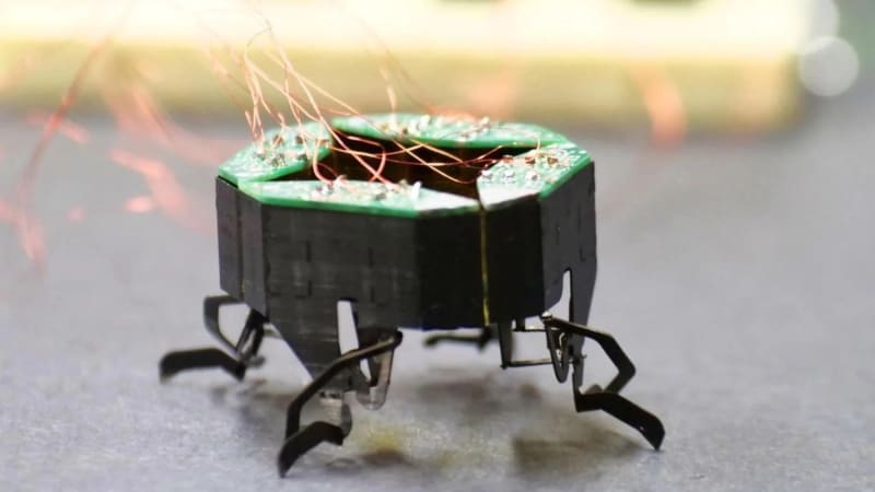 CLARI (Compliant Legged Articulated Robotic Insect)
