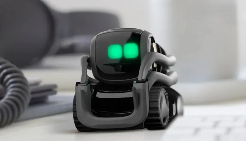 Vector