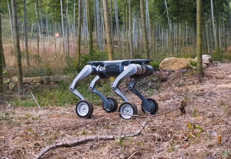 Lynx by Deep Robotics