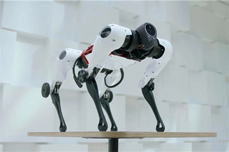 Jamoca by Tencent Robotics X