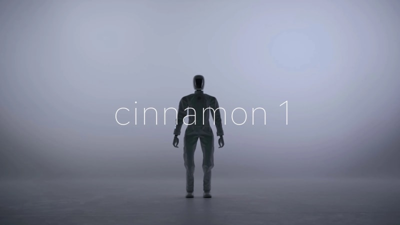 Cinnamon 1