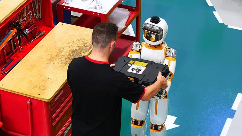 ErgoCub Humanoid Robot