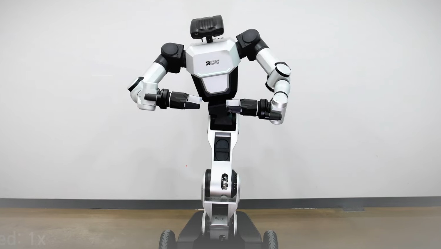 RB-Y1 - Image 2