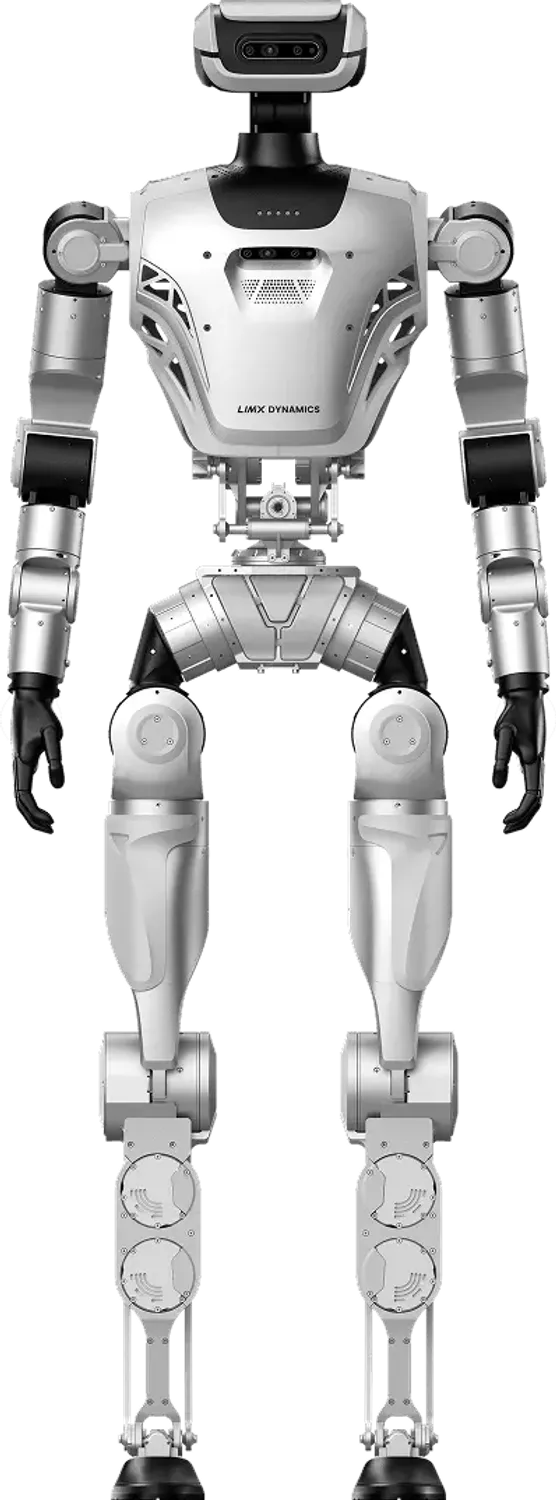 Oli - Image 2