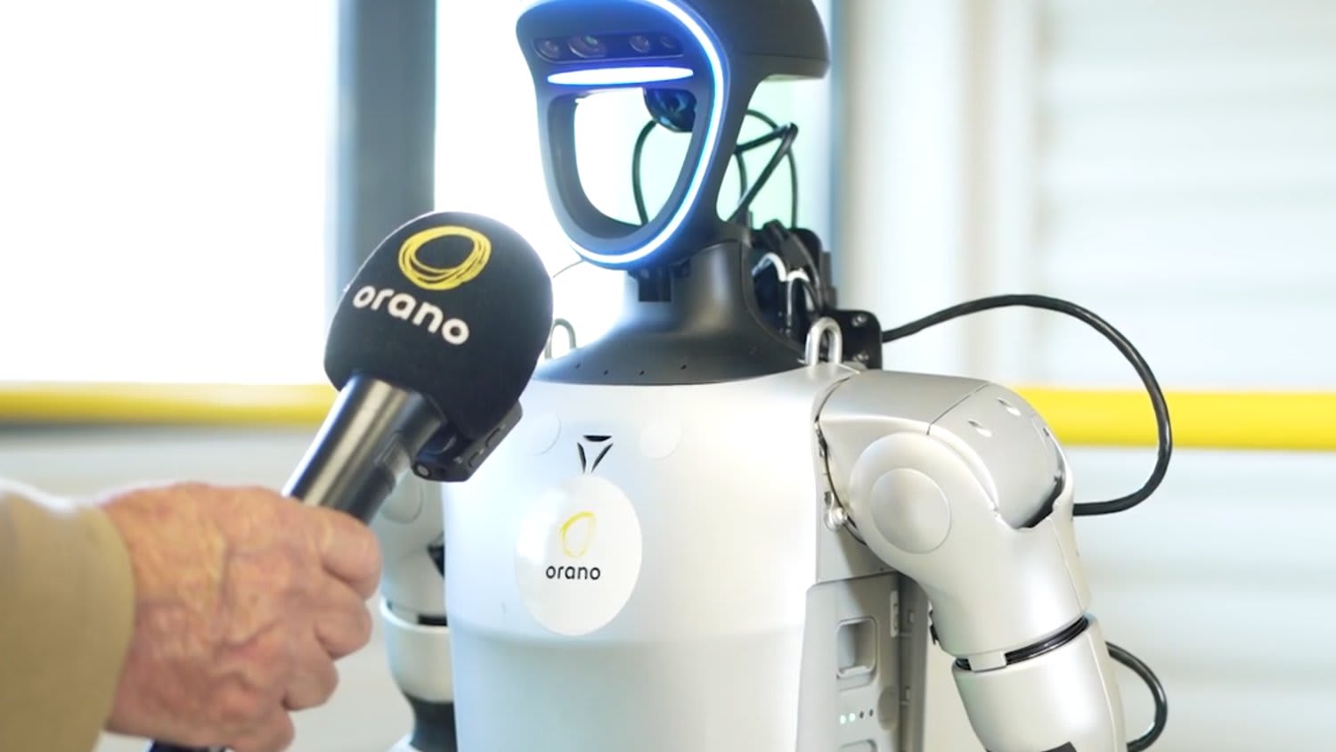 Hoxo Robot