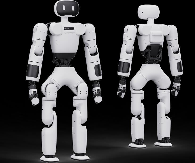AgiBot X1